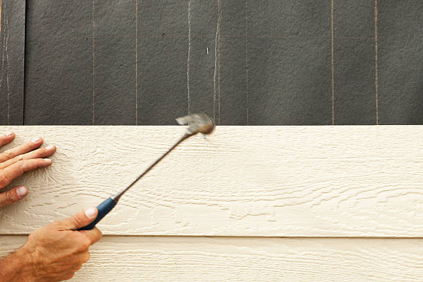 Best Engineered Wood Siding  in Marine City, MI